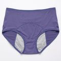 Leak Proof Menstrual Panties Women Underwear Period Cotton Waterproof Briefs Plus Size Female Physiological Breathable Pants