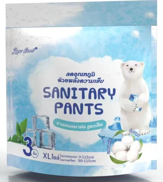 Women Wearing Ladies Panty Diaper Underwear Female Disposable Type Sanitary Napkins Pants Lady with Menstrual Pad Period
